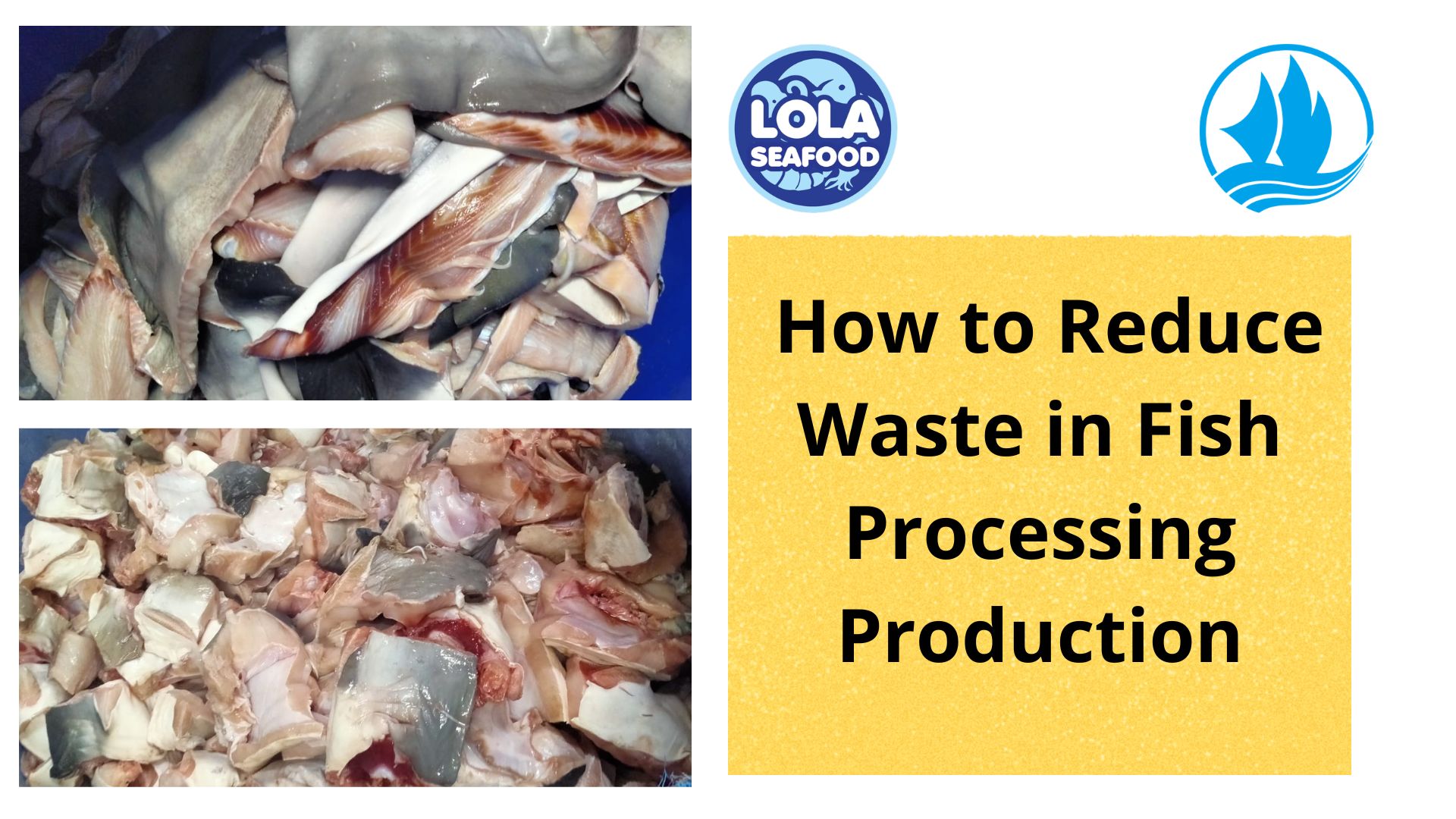 How to Reduce Waste in Fish Processing Production